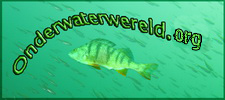 onderwaterwereld